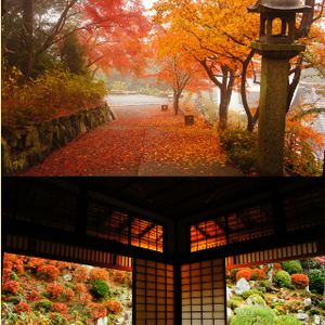 秋季　初公開　「上書院から眺める名勝庭園」特別一般公開